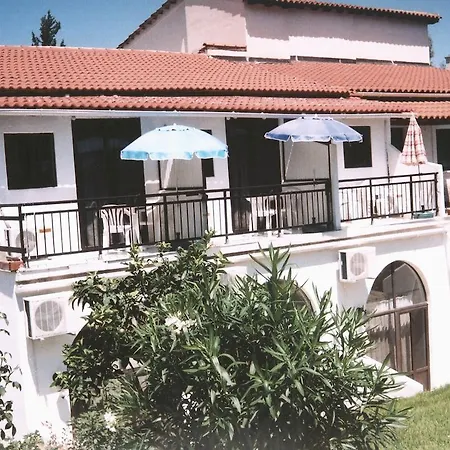 Dina's Mesongi